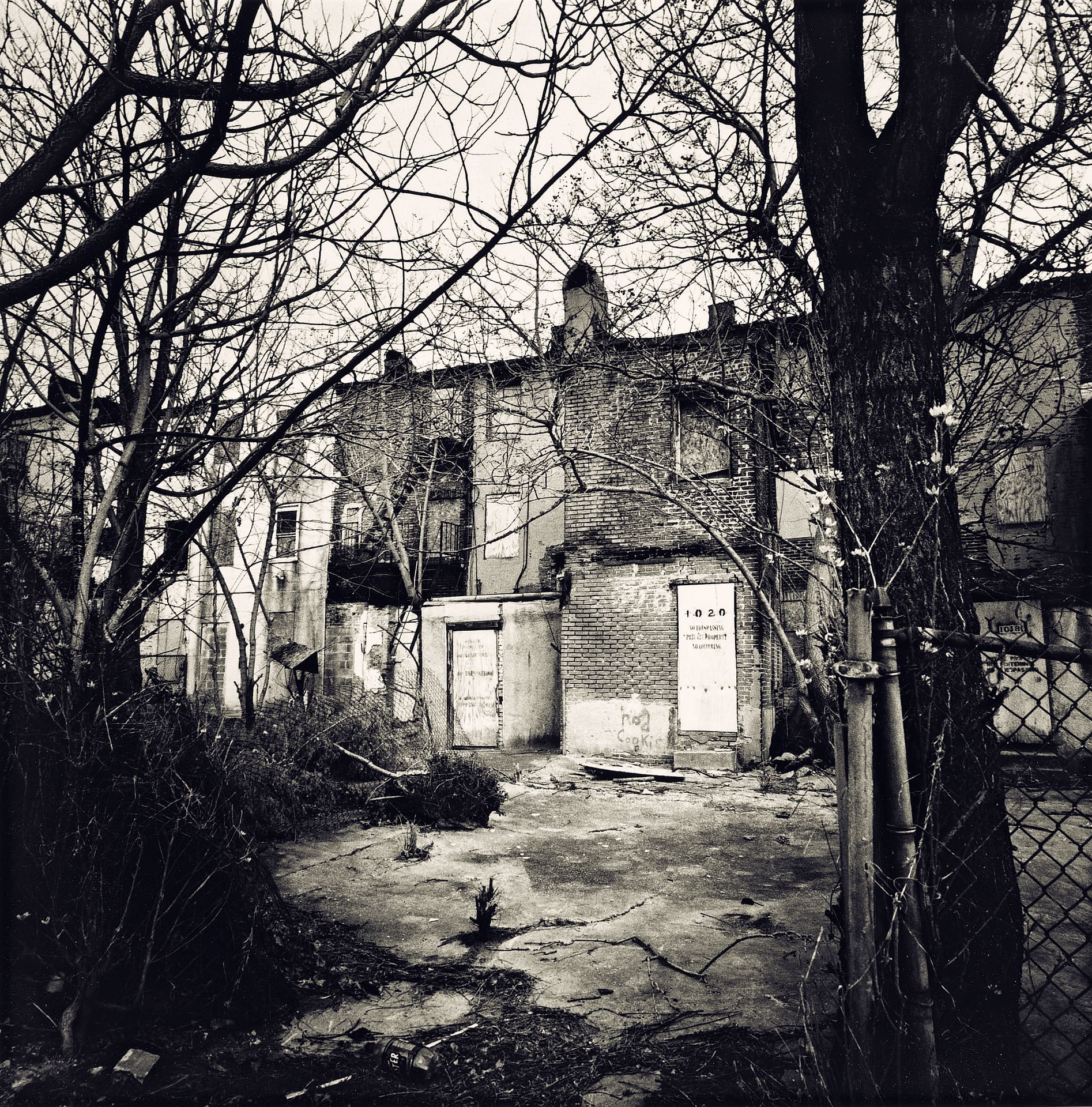 Boarded and derelict brick rowhouse backs seen through bare branches across a cracked lot with chain-link fence