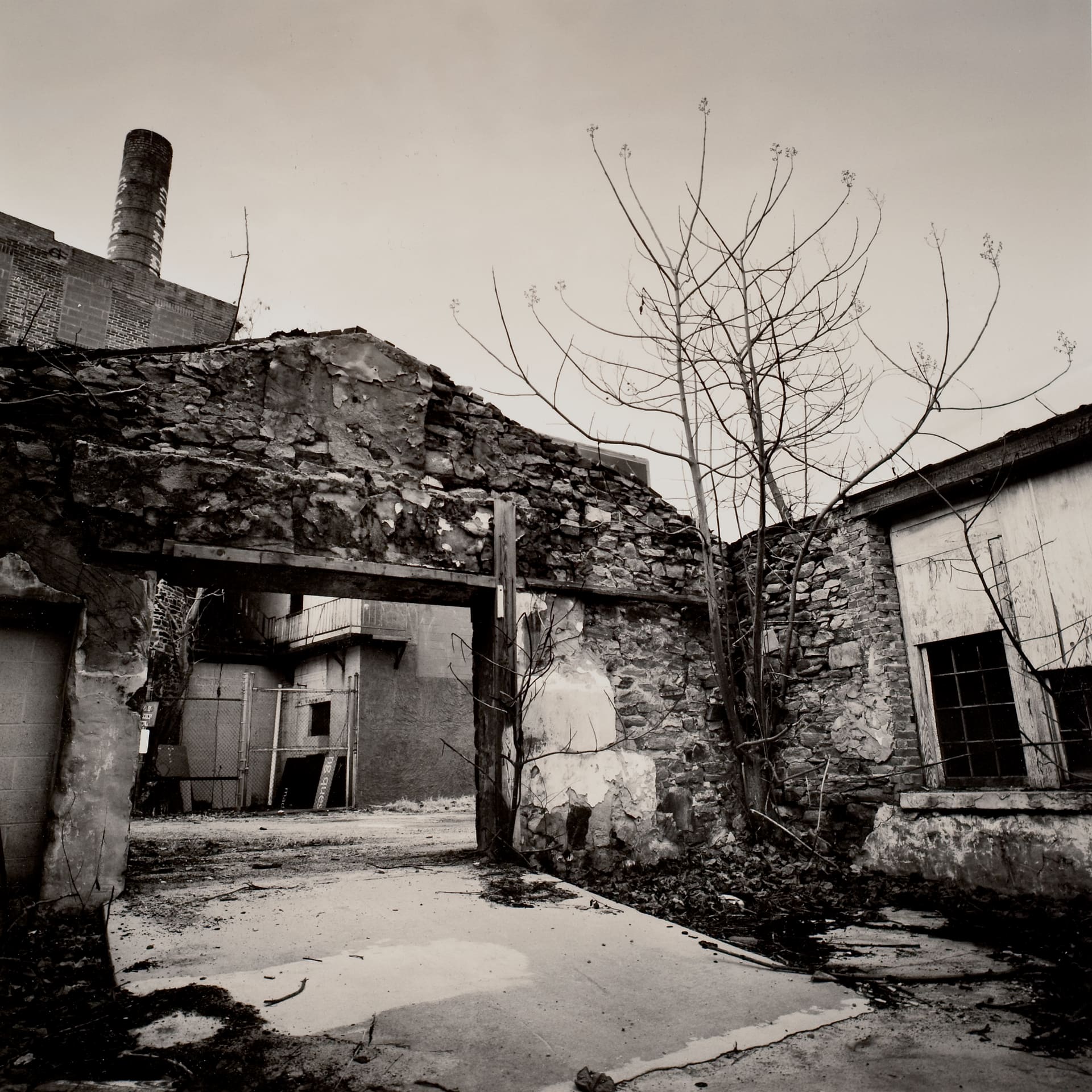 Ruined stone mill walls and doorway with a bare sapling growing through, brick chimney rising behind under blank sky