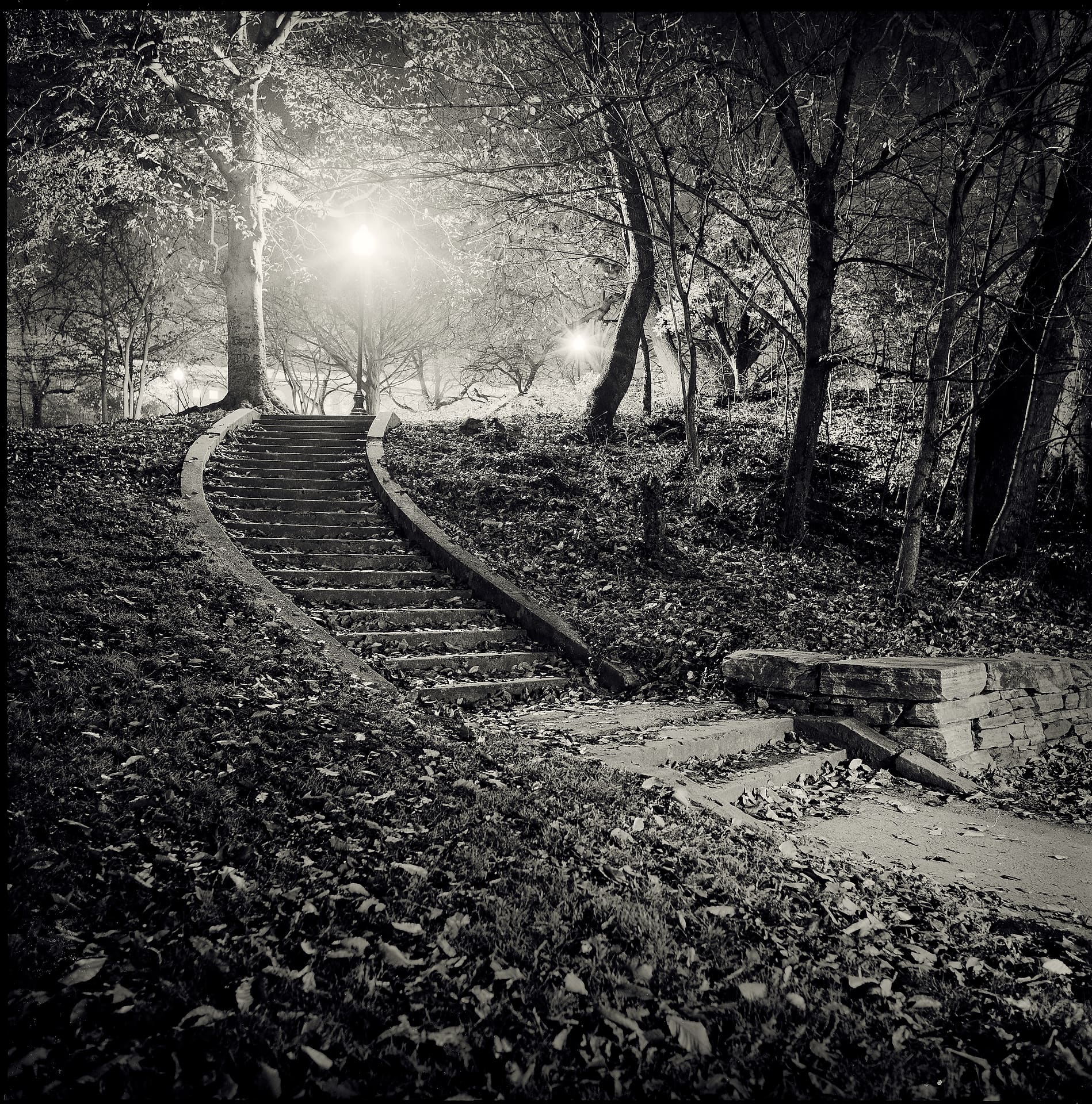 Curving stone staircase climbing through a wooded park at night, leaf-covered ground, streetlamp flaring through bare branches