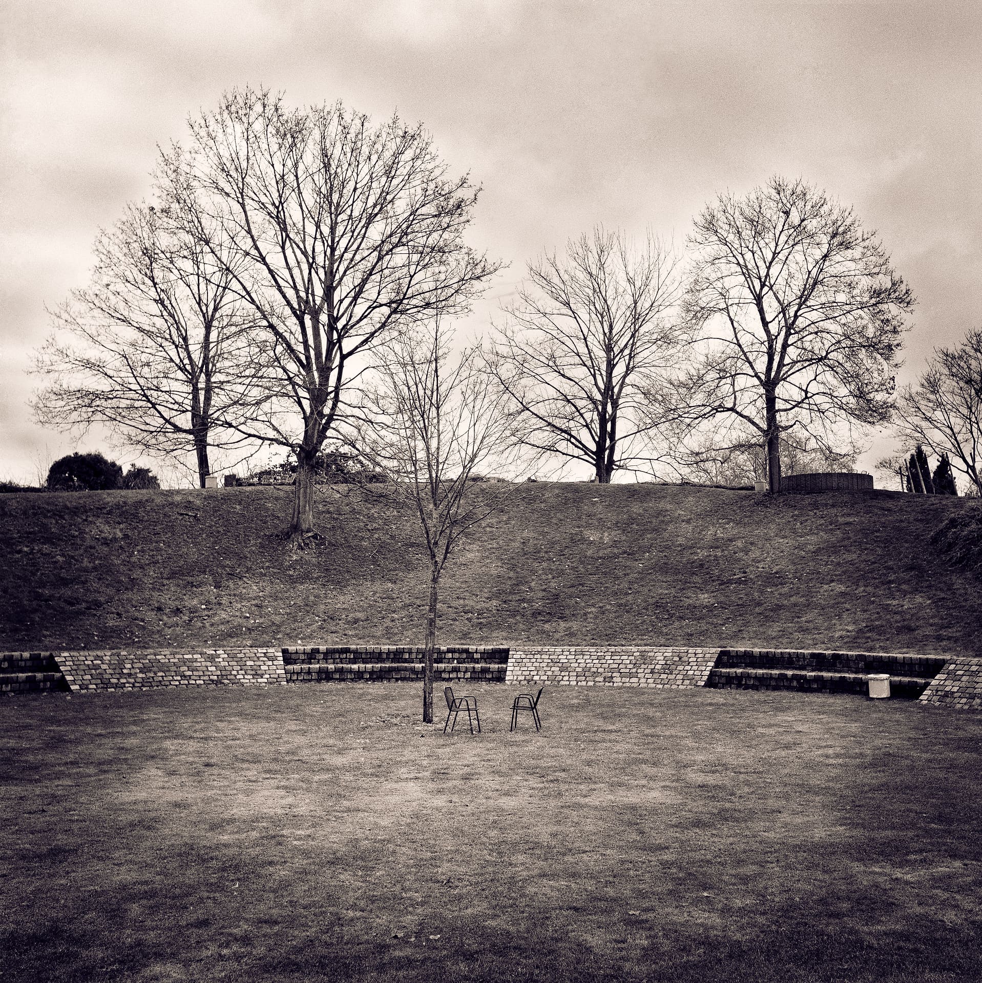 Two metal chairs on grass before a low brick terrace, a sapling and bare trees on the bank above