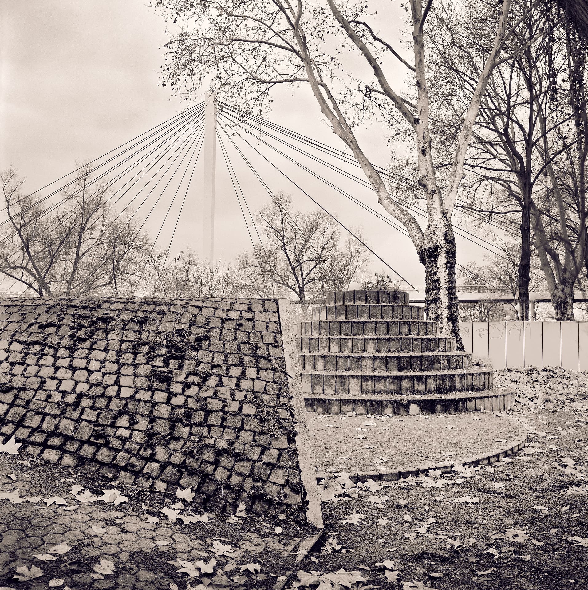 Round concrete stepped platform and sloping block-paved bank under bare trees, cable-stayed bridge pylon in mist behind