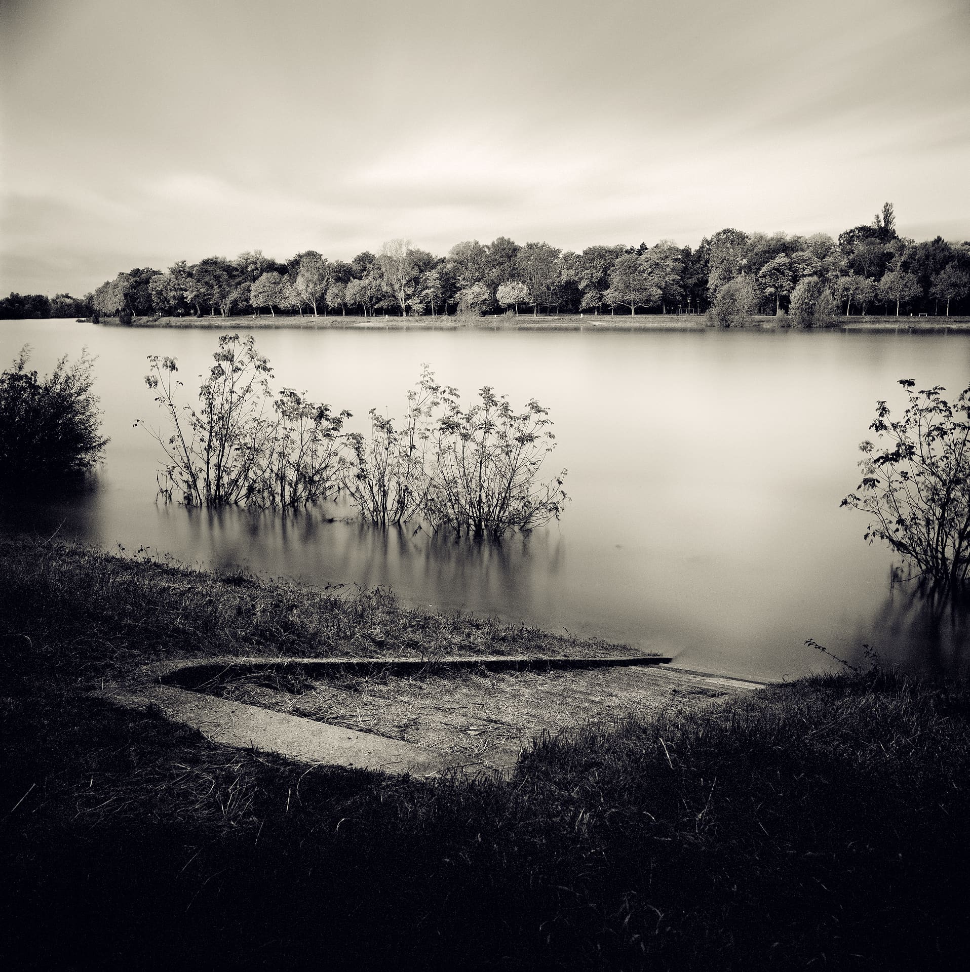 Flooded lake shore with half-submerged shrubs, concrete slipway in the grass and a distant treeline