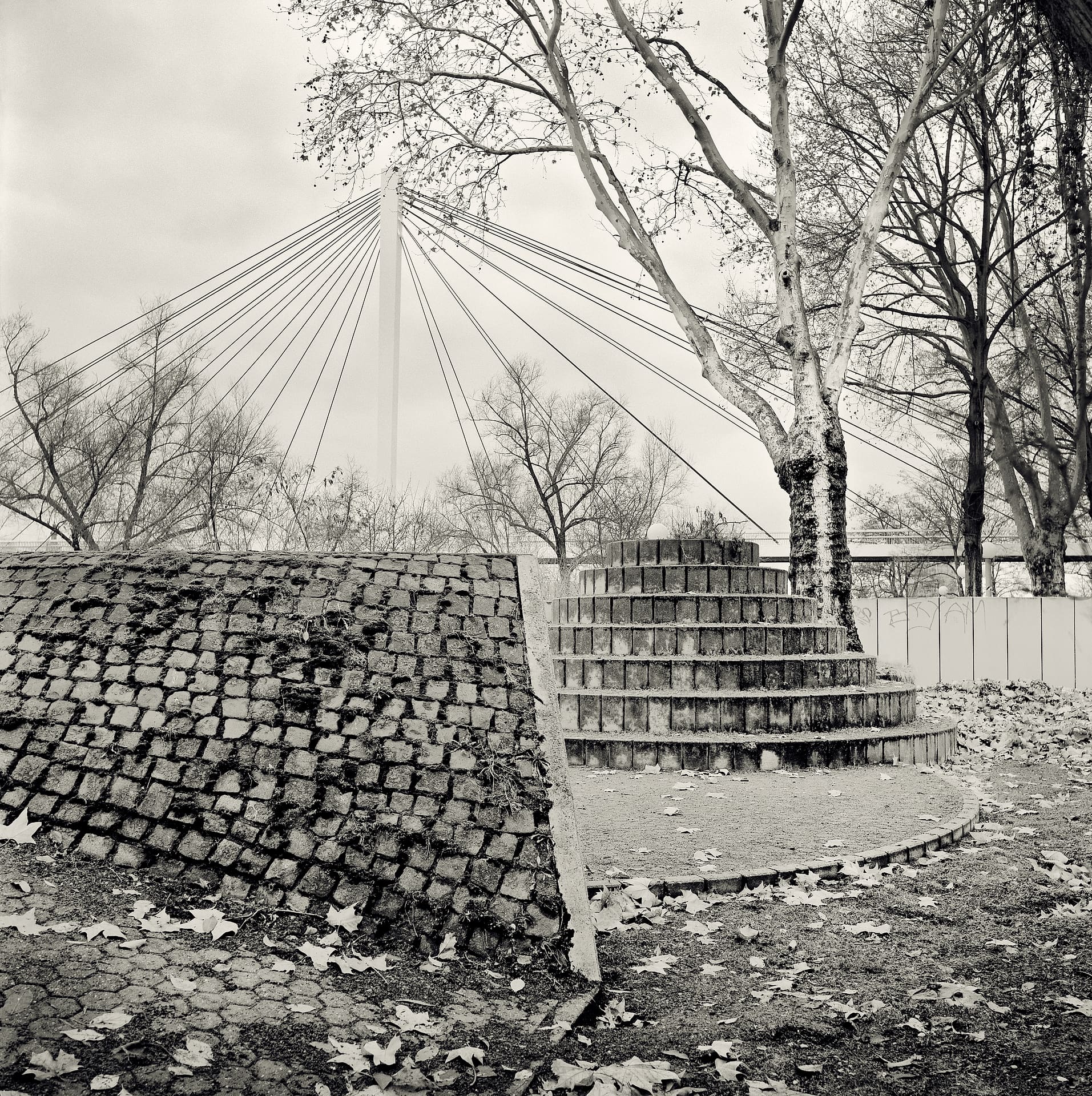 Round concrete stepped platform and sloping block-paved bank under bare trees, cable-stayed bridge pylon in mist behind