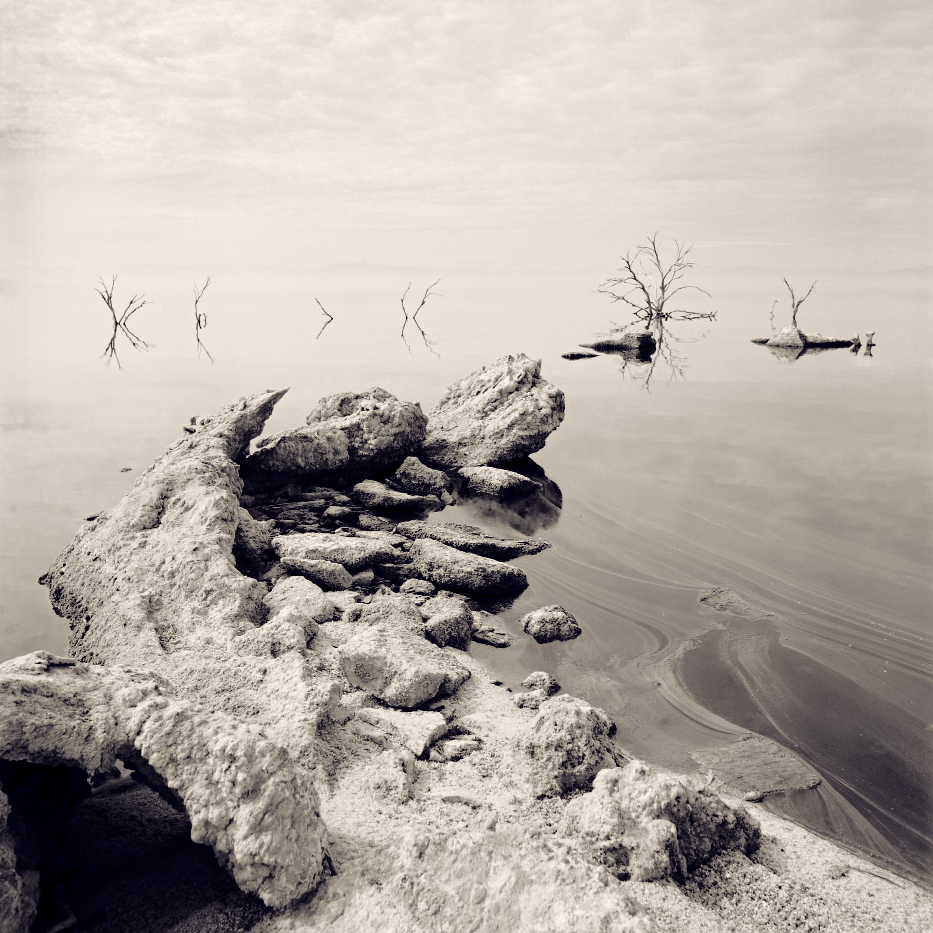 Salt-crusted rocks in the foreground and bare drowned trees reflected in motionless shallow water under pale sky