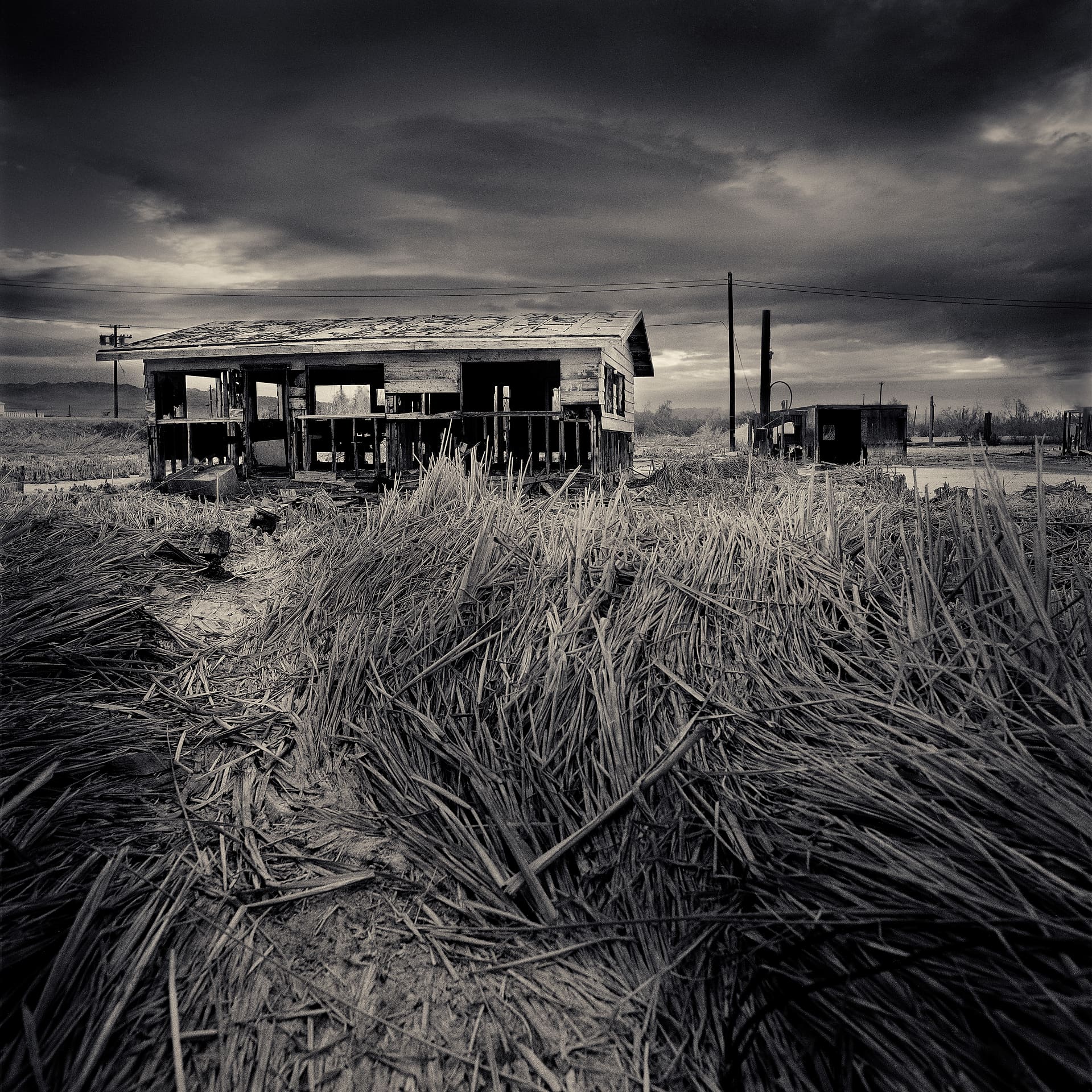 Gutted timber-framed store building with collapsing roof behind a field of flattened dry reeds under heavy cloud