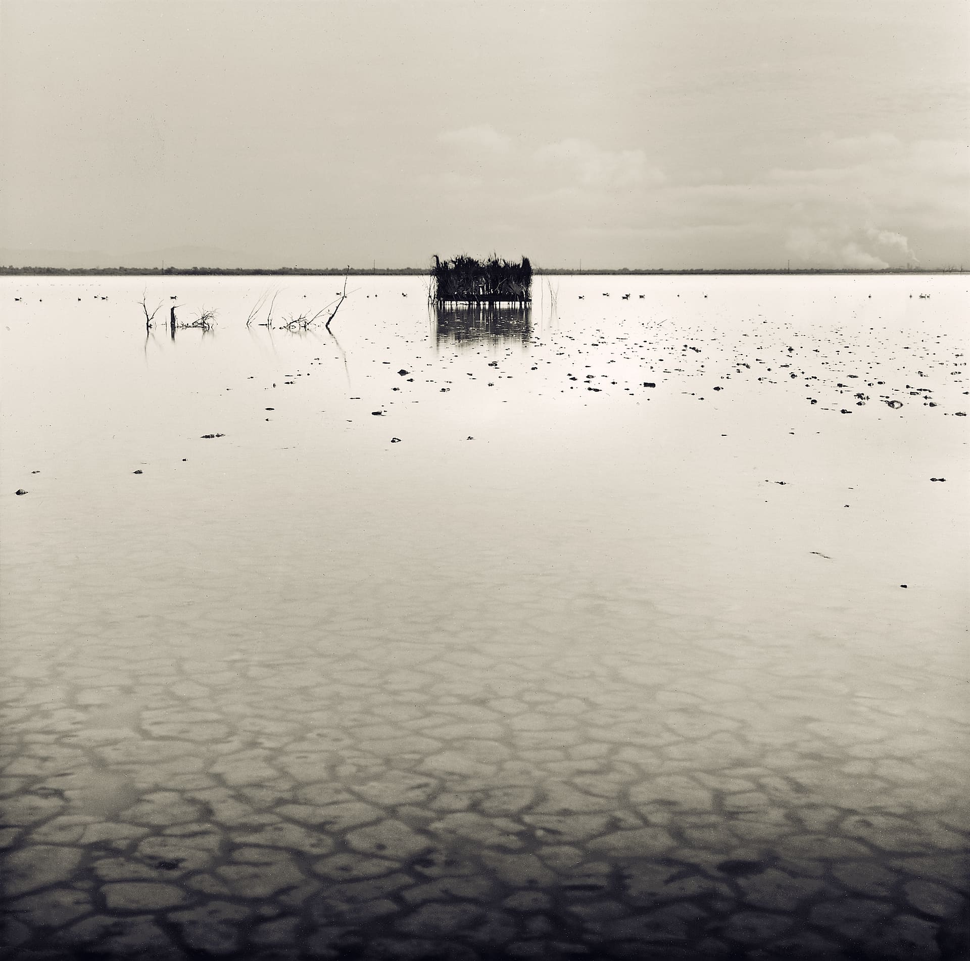 Reed-covered duck blind standing far out on flat shallow water above a foreground of cracked mud