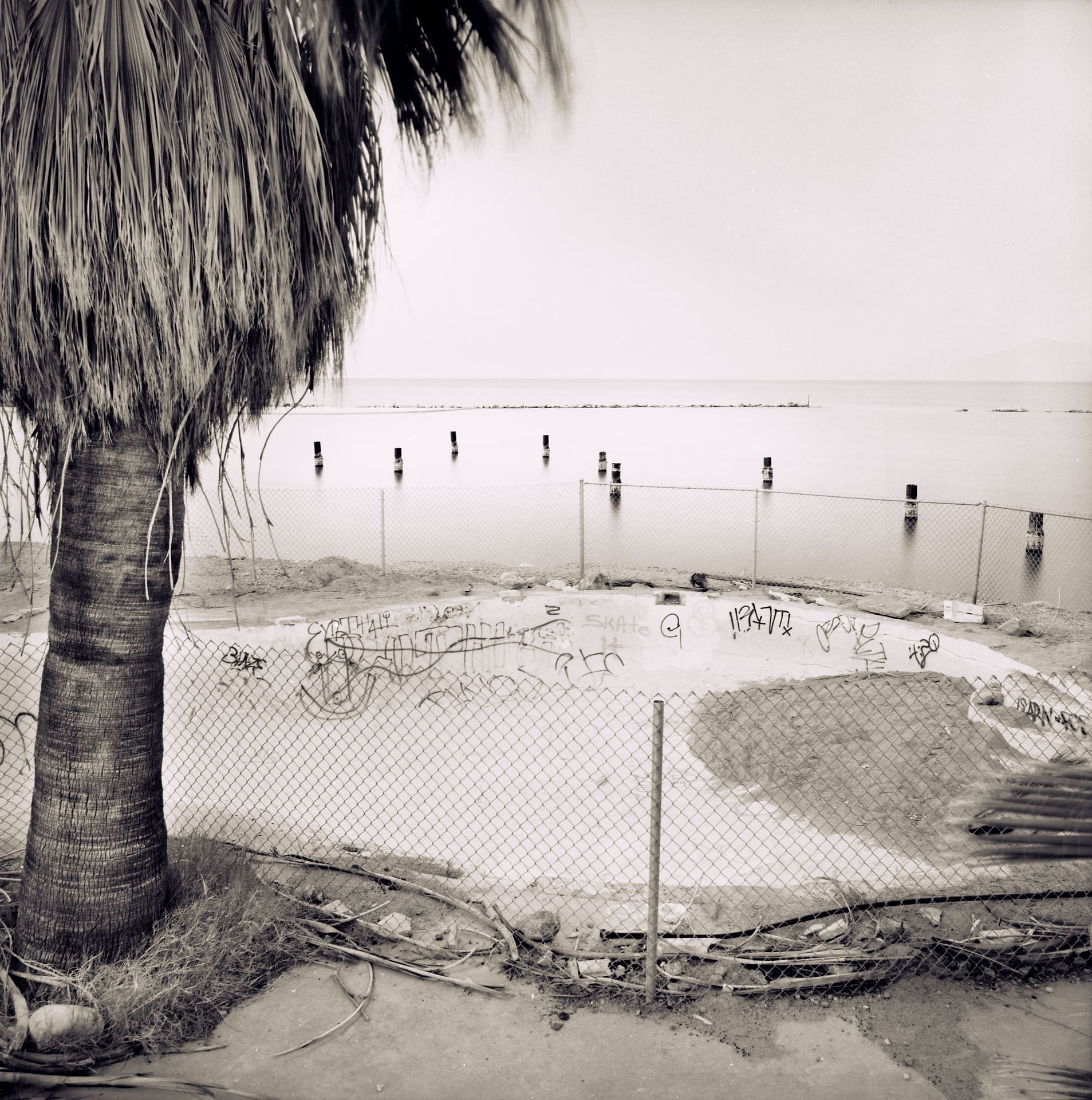 Empty graffiti-covered swimming pool behind chain-link fence beside a shoreline, dead palm tree and pilings in still water