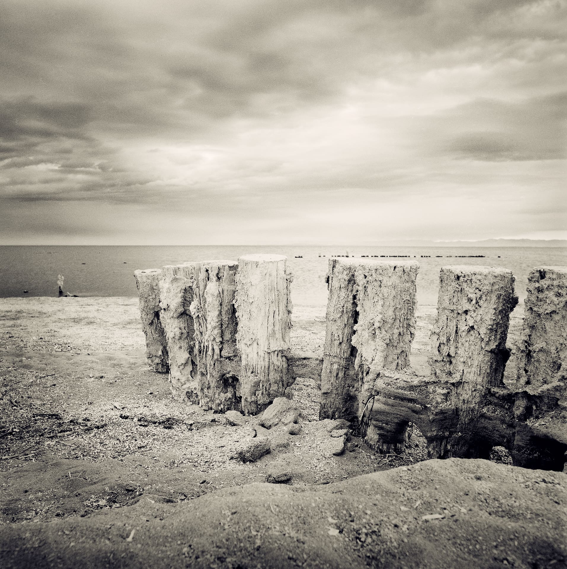 Row of salt-encrusted timber pilings on a gravel shore, flat sea behind and heavy layered cloud above