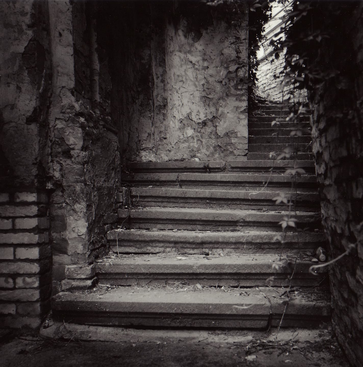 Worn stone staircase climbing between crumbling plaster walls toward daylight, creeper hanging across the right side