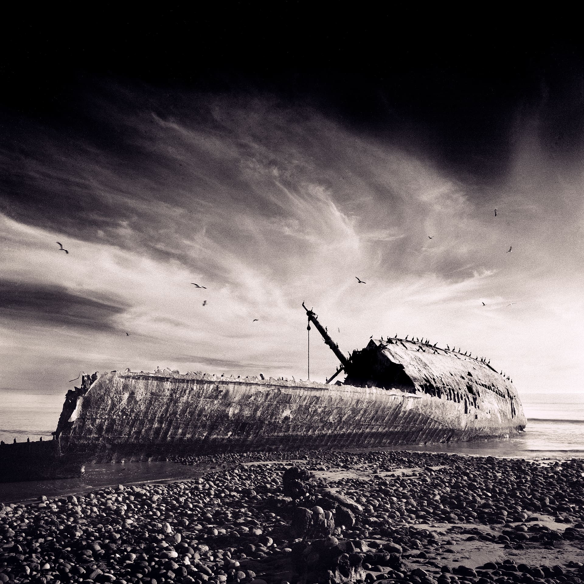 Rusting hull of a beached shipwreck on a cobble shore, birds perched along its rail and wheeling overhead