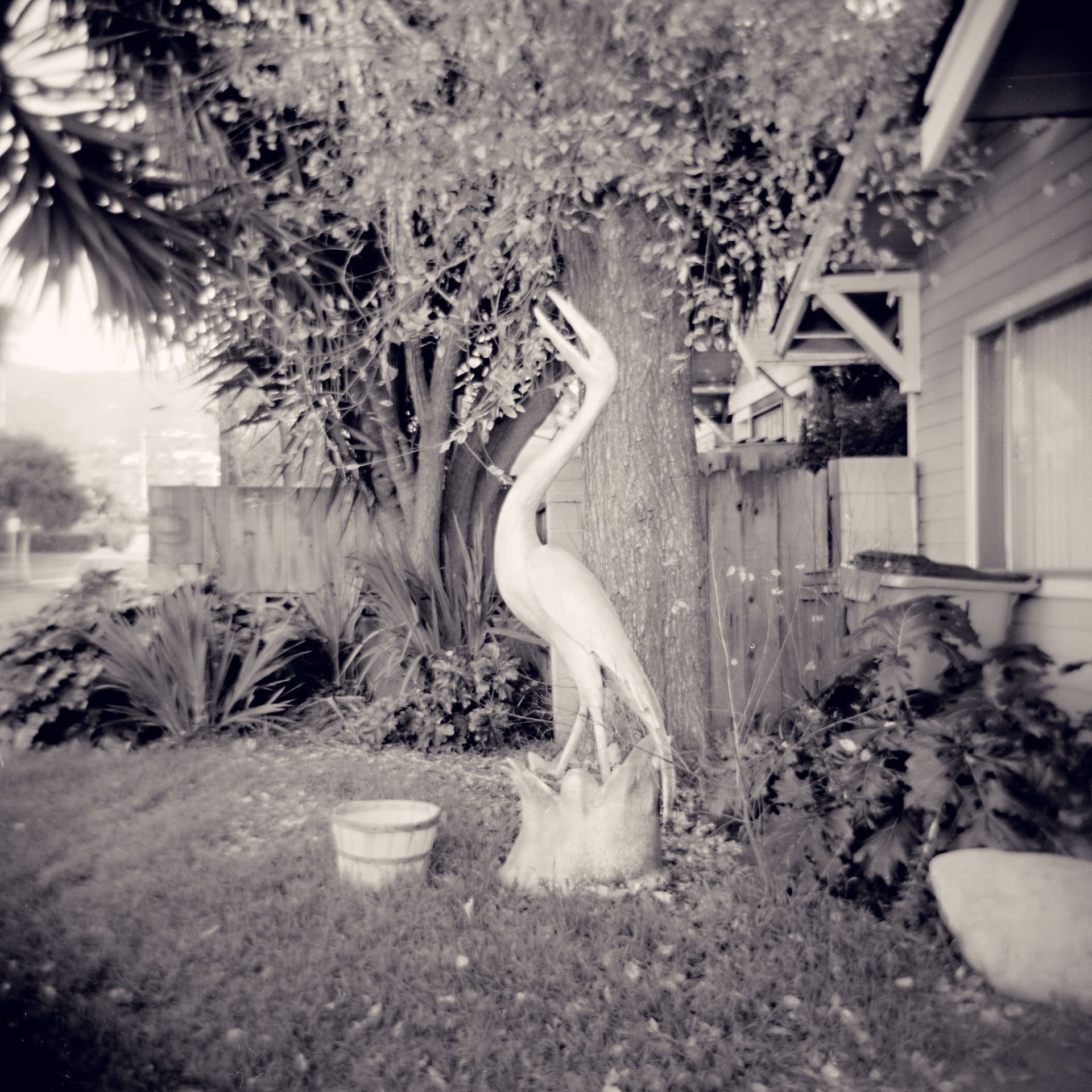 Concrete heron statue on a stump in a suburban front garden beside a clapboard house, palm and shrubs around